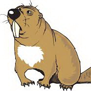 Can-You-Make-This-My-Avatar-Please?